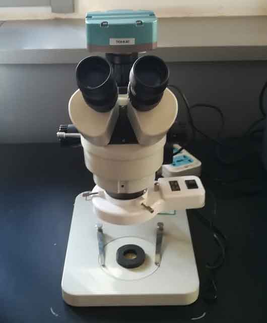 Film-Thickness-Measuring